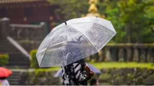 Haryana Weather: हरियाणा में थमा बारिश का दौर, अगले 7 दिन शुष्क रहेगा मौसम; महेंद्रगढ़ में पारा 35 पार