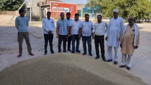 Nangal Chaudhary : एसडीएम के अनाज मंडी निरीक्षण में बाजरा खरीद एजेंसी मिली गैर हाजिर, जिला उपायुक्त को भेजी रिपोर्ट