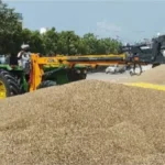Nangal Chaudhary : राजस्व विभाग की फसल तस्दीक की धीमी रफ्तार में अटके टोकन, मार्केट कमेटी कार्यालय में तीन घंटे इंतजार करके वापस लौटे किसान