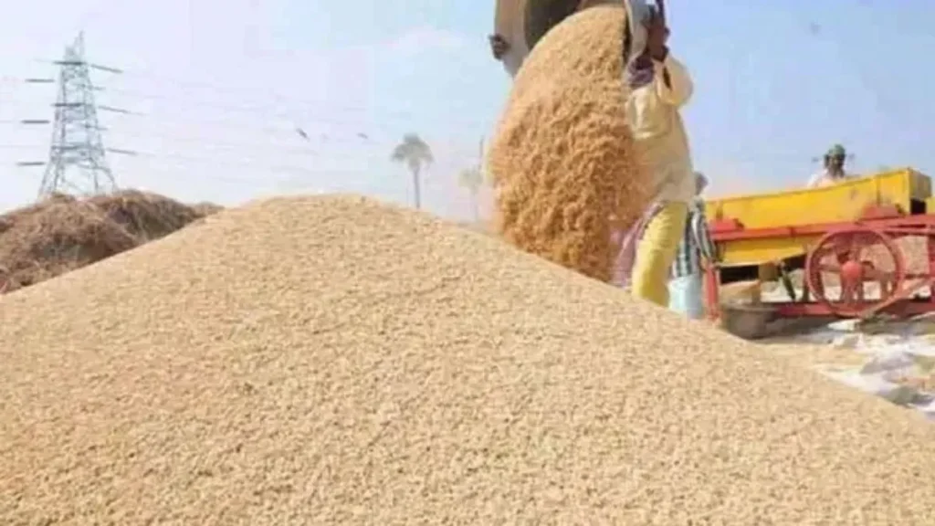 Yamunanagar Rice Mill Auction