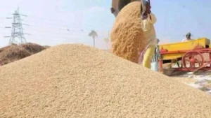 Yamunanagar Rice Mill Auction